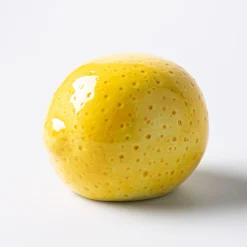 Boston Warehouse Scrubby 'Lemon' Ceramic Scrubby Holder