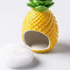 Boston Warehouse Scrubby 'Pineapple' Ceramic Scrubby Holder