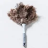 Casabella Eco-Friendly Ostrich Feather Duster (Grey)