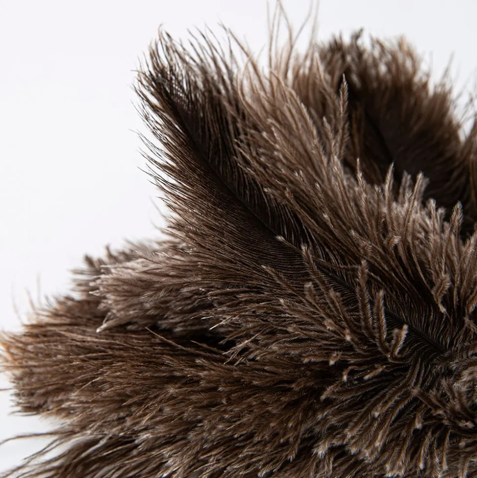 Casabella Eco-Friendly Ostrich Feather Duster (Grey)