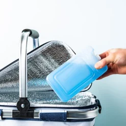 Ctg Icy 'Ice Pak' Reusable Ice Pack (Blue)