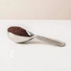 Danesco Cafe Culture Coffee Scoop (Stainless Steel)
