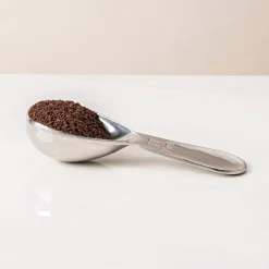 Danesco Cafe Culture Coffee Scoop (Stainless Steel)