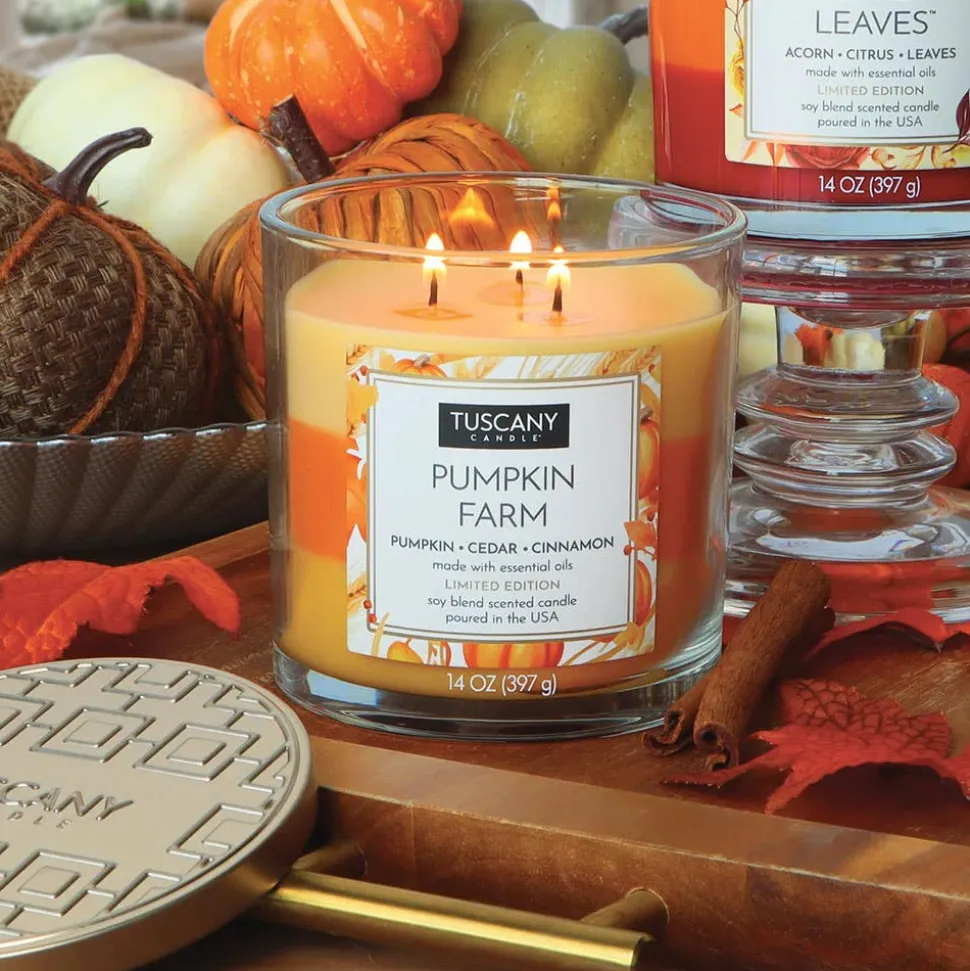 Empire Tuscany 3-Wick 'Pumpkin Farm' Glass Jar Candle 397g
