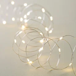 Fifth Season L.E.D. '40-Light' String Light (Warm White)