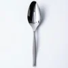 Gourmet Settings Lance Slotted Serving Spoon (Stainless Steel)