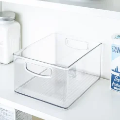 iDesign Linus Fridge 'N Pantry Binz 10x8x5"