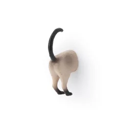Kikkerland Funky 'Cat Butt' Magnet - Set of 6