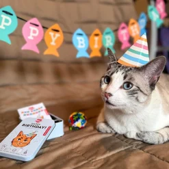 Kikkerland Tin 'Kiko' Happy Birthday Cat