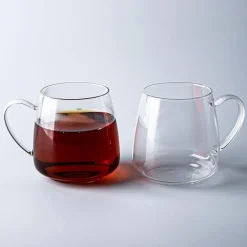 KSP Monza Borosilicate Glass Mug - Set of 2 (Clear) 480ml