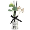 KSP Soleil 'Carribean Coconut' Reed Diffuser (Clear)