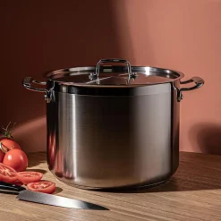 Tramontina Gourmet Stock Pot with Lid 15L (Stainless Steel)