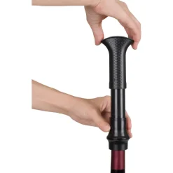 Trudeau Maison Le Bar Wine Pump with 2 Stoppers (Black)